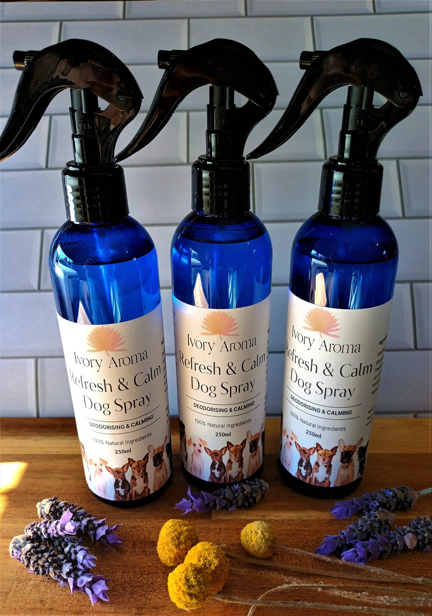 Refresh and Calm Perfume Dog Spray