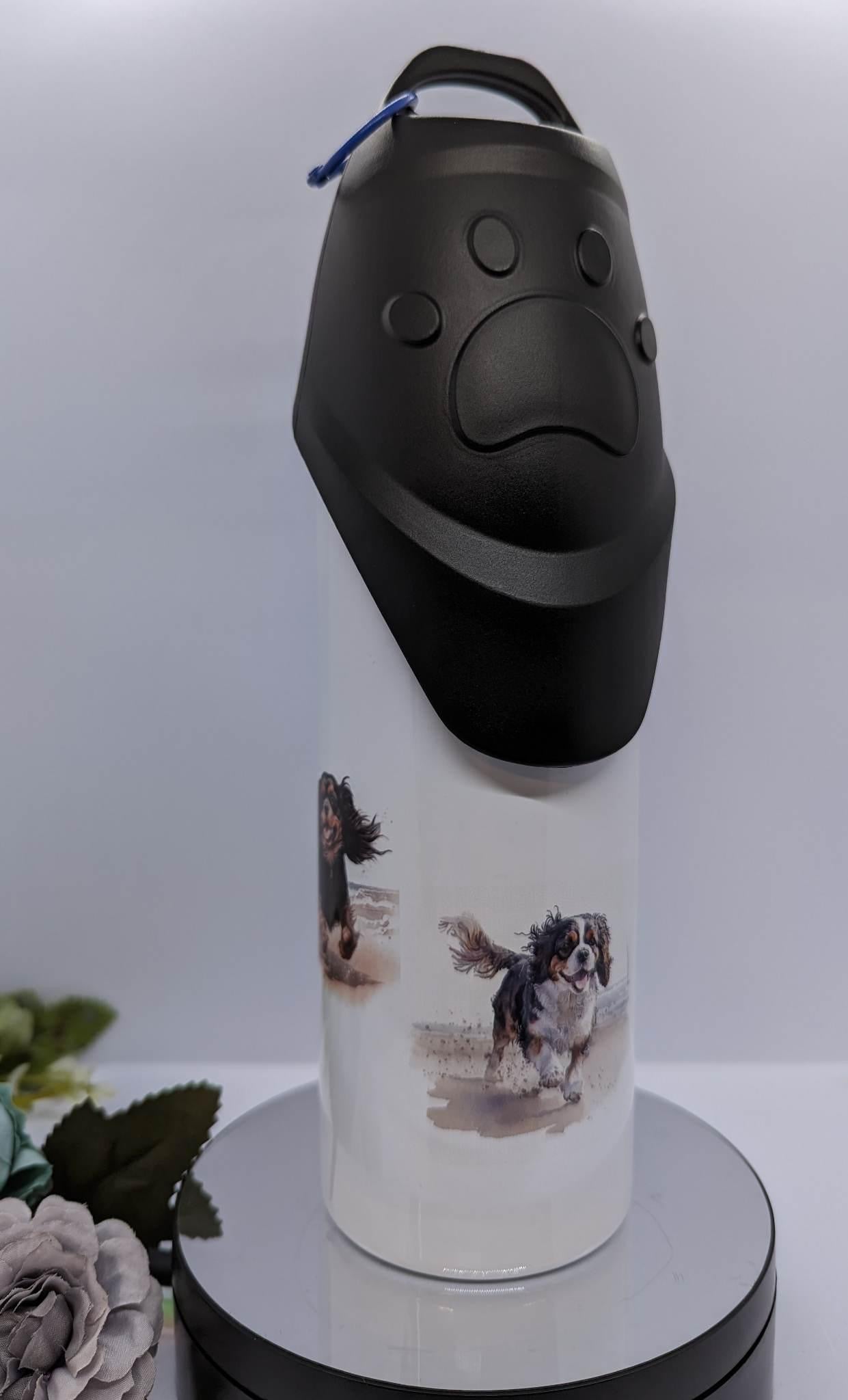 Pet Water Bottles