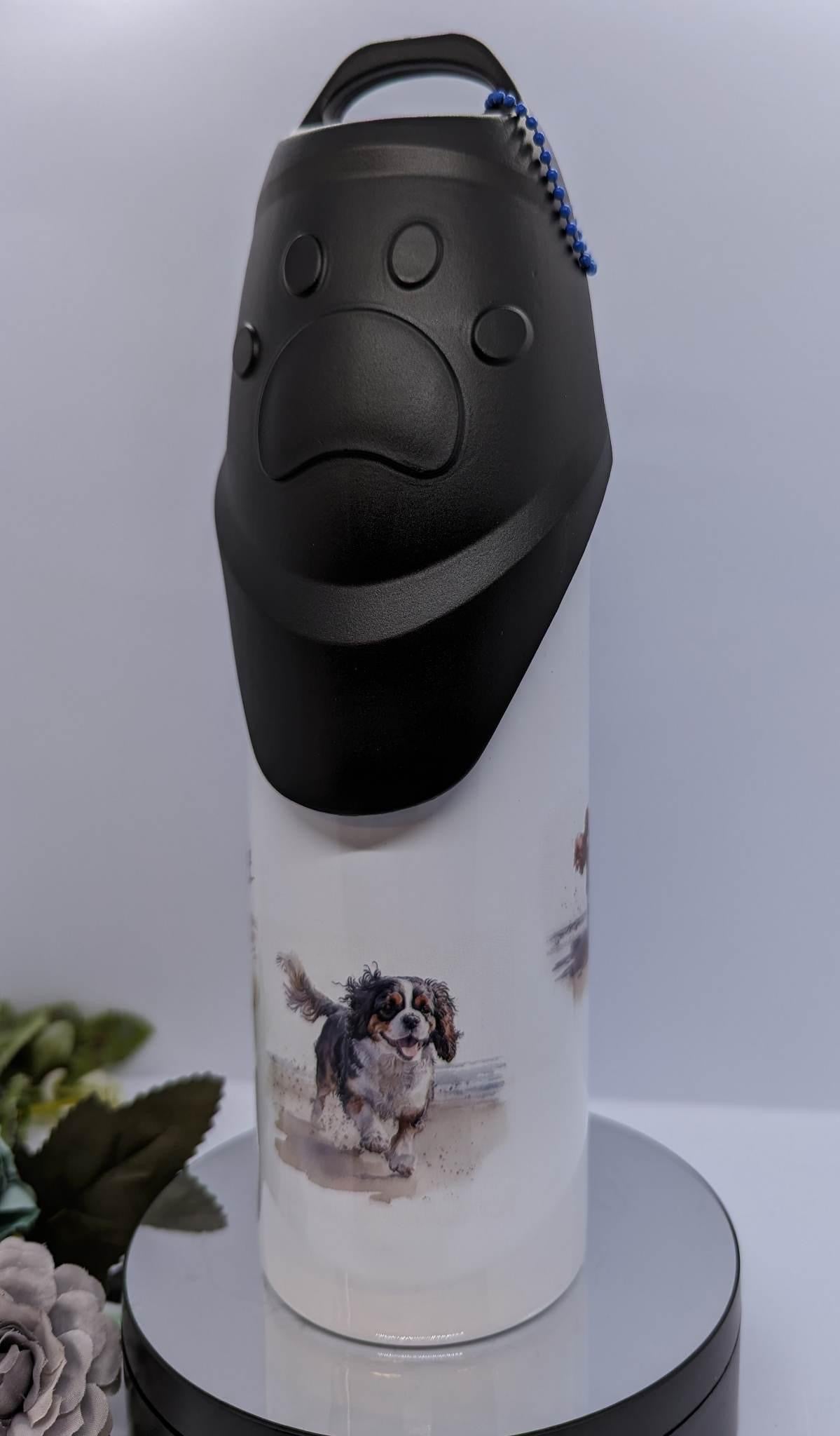 Pet Water Bottles