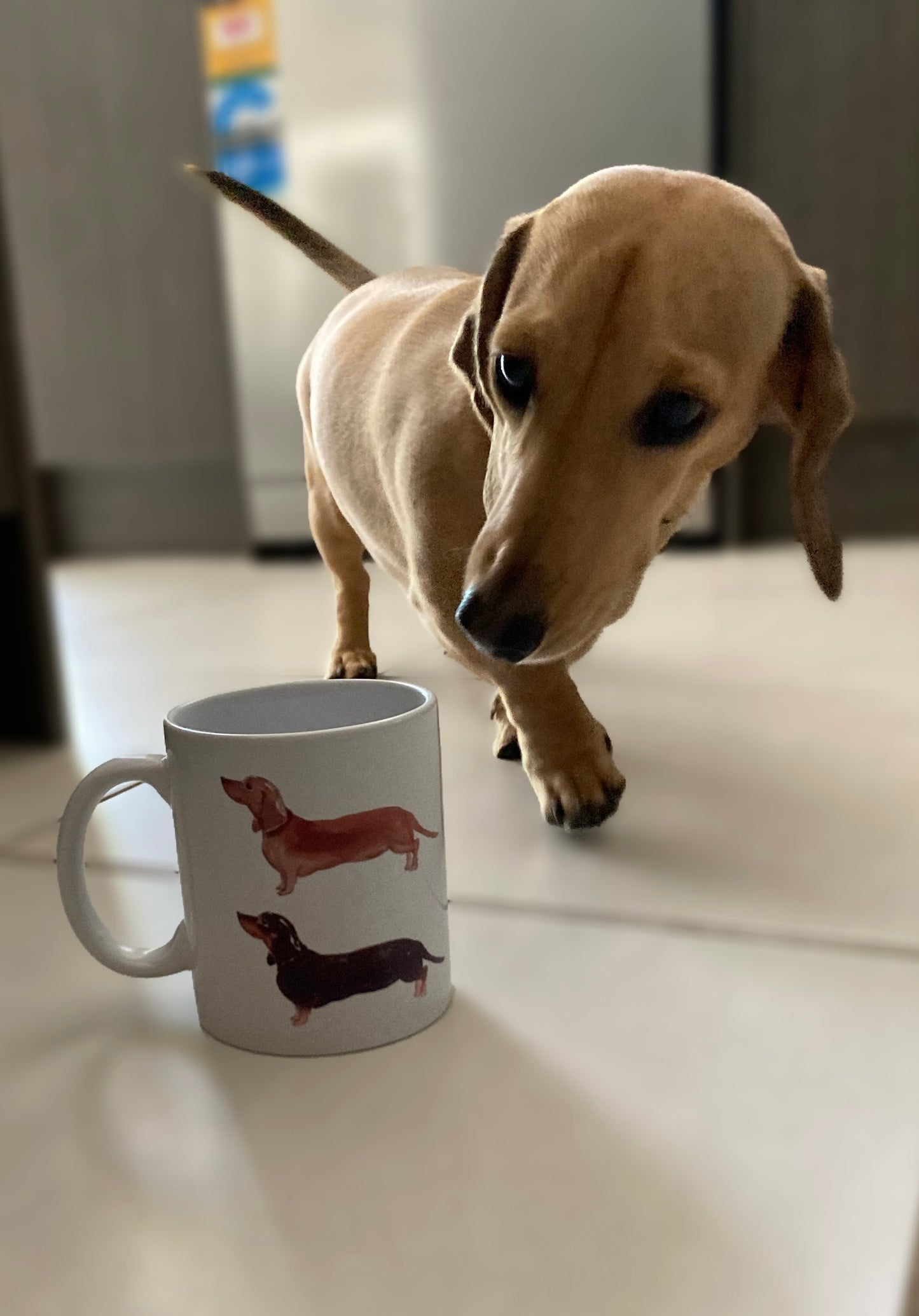 Twin Dachshund Print mug