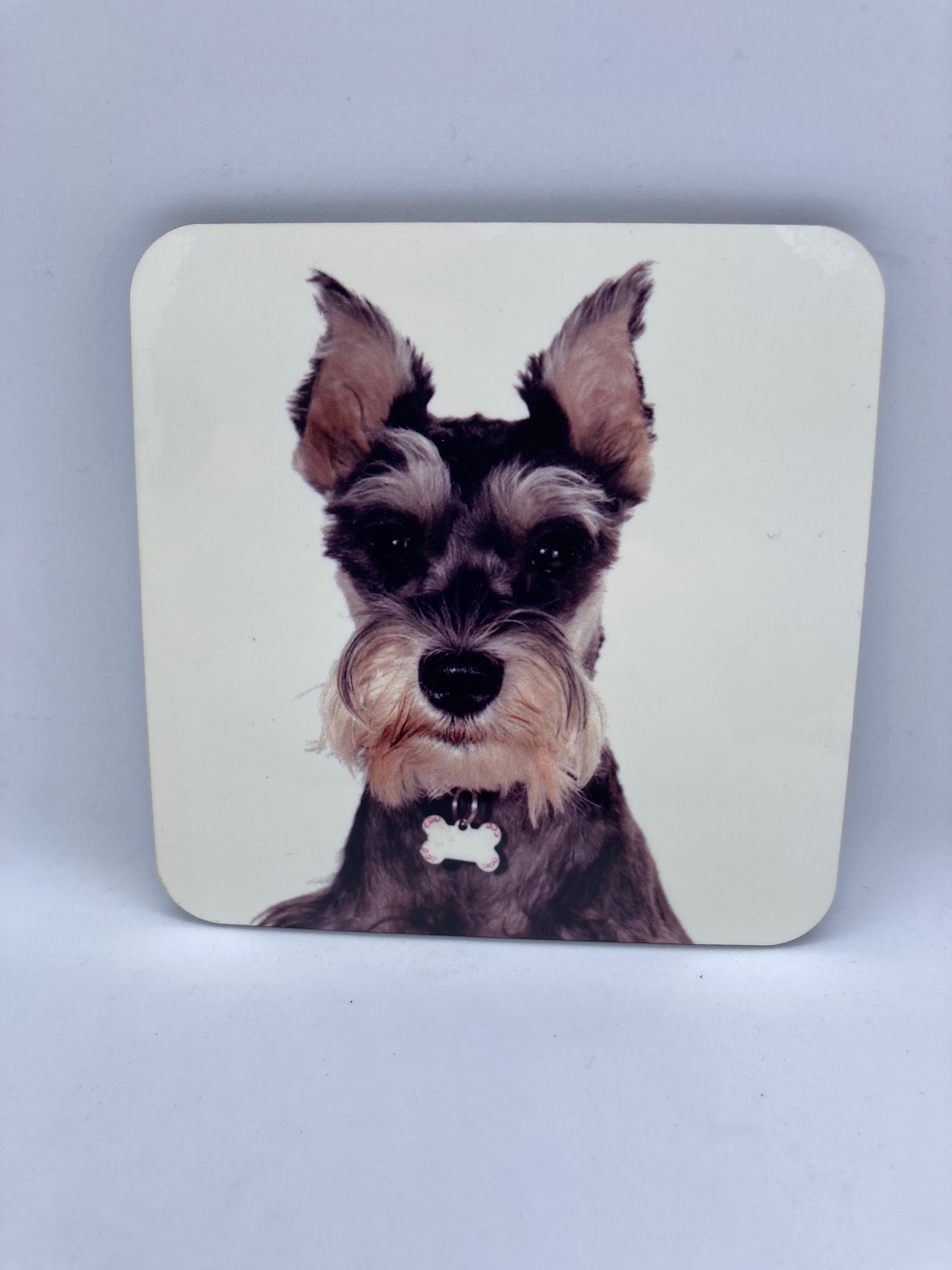 Schnauzer Coasters