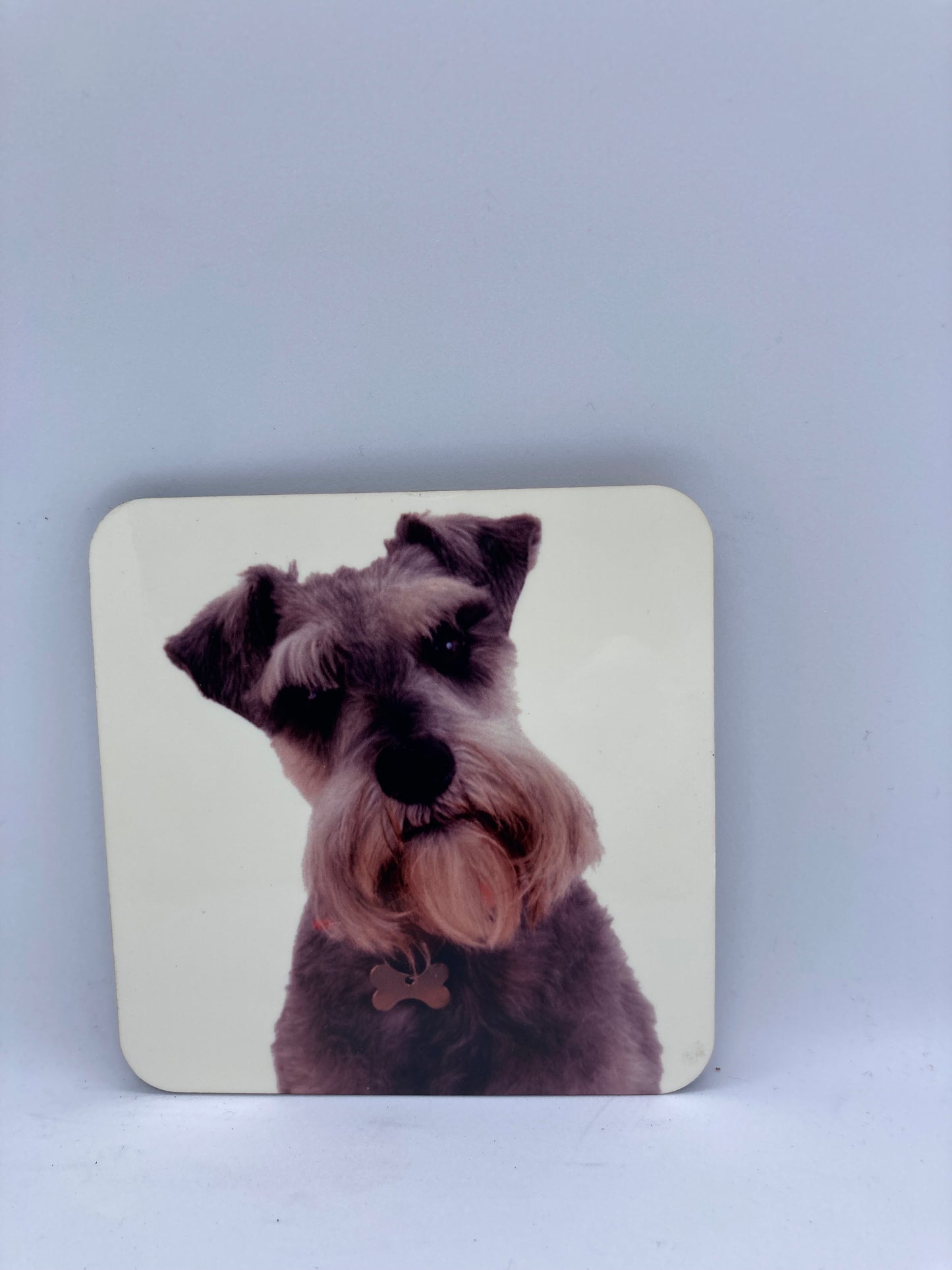 Schnauzer Coasters