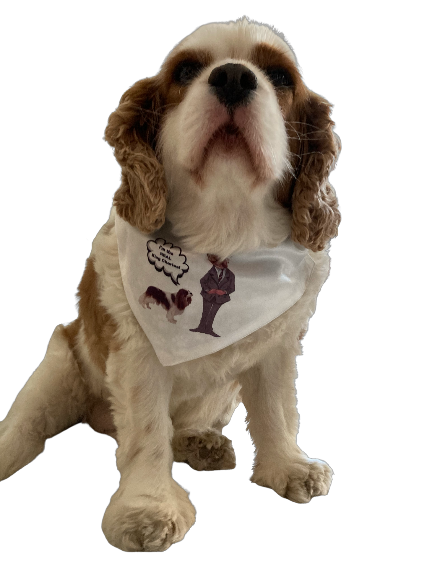 “I’m the real King Charles “ kerchief / bandana