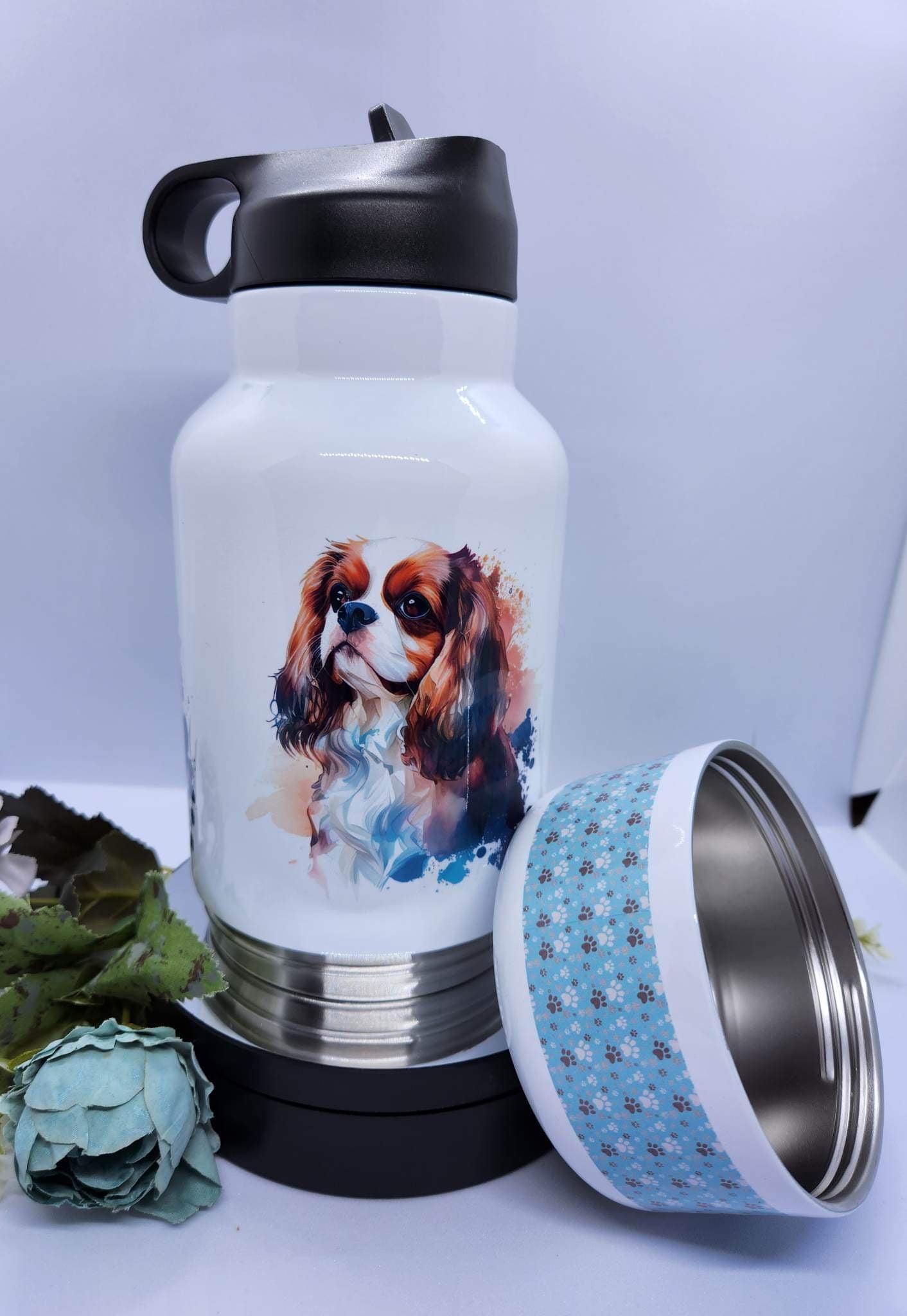 Water bottle and dog bowl