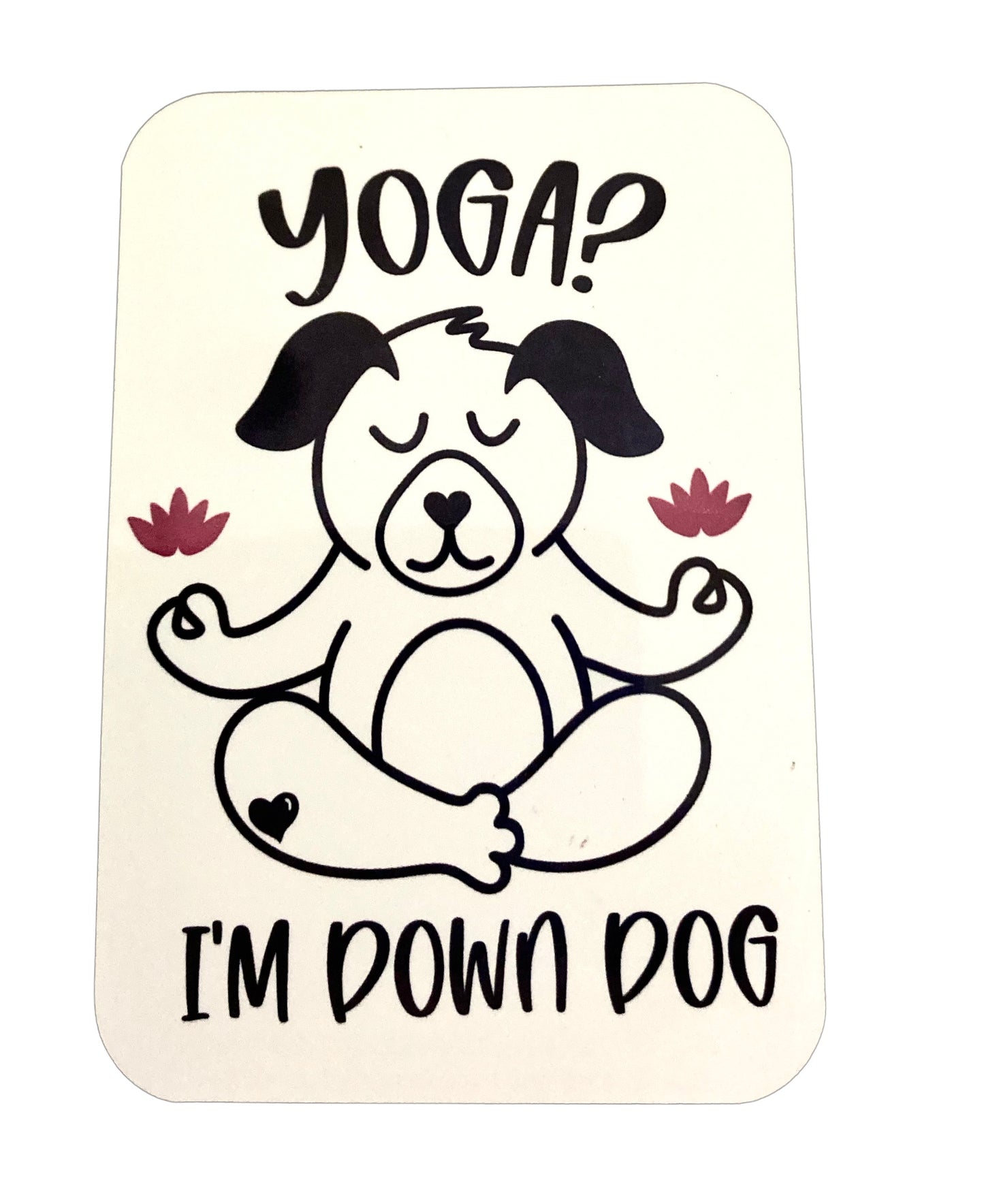 Yoga Dog