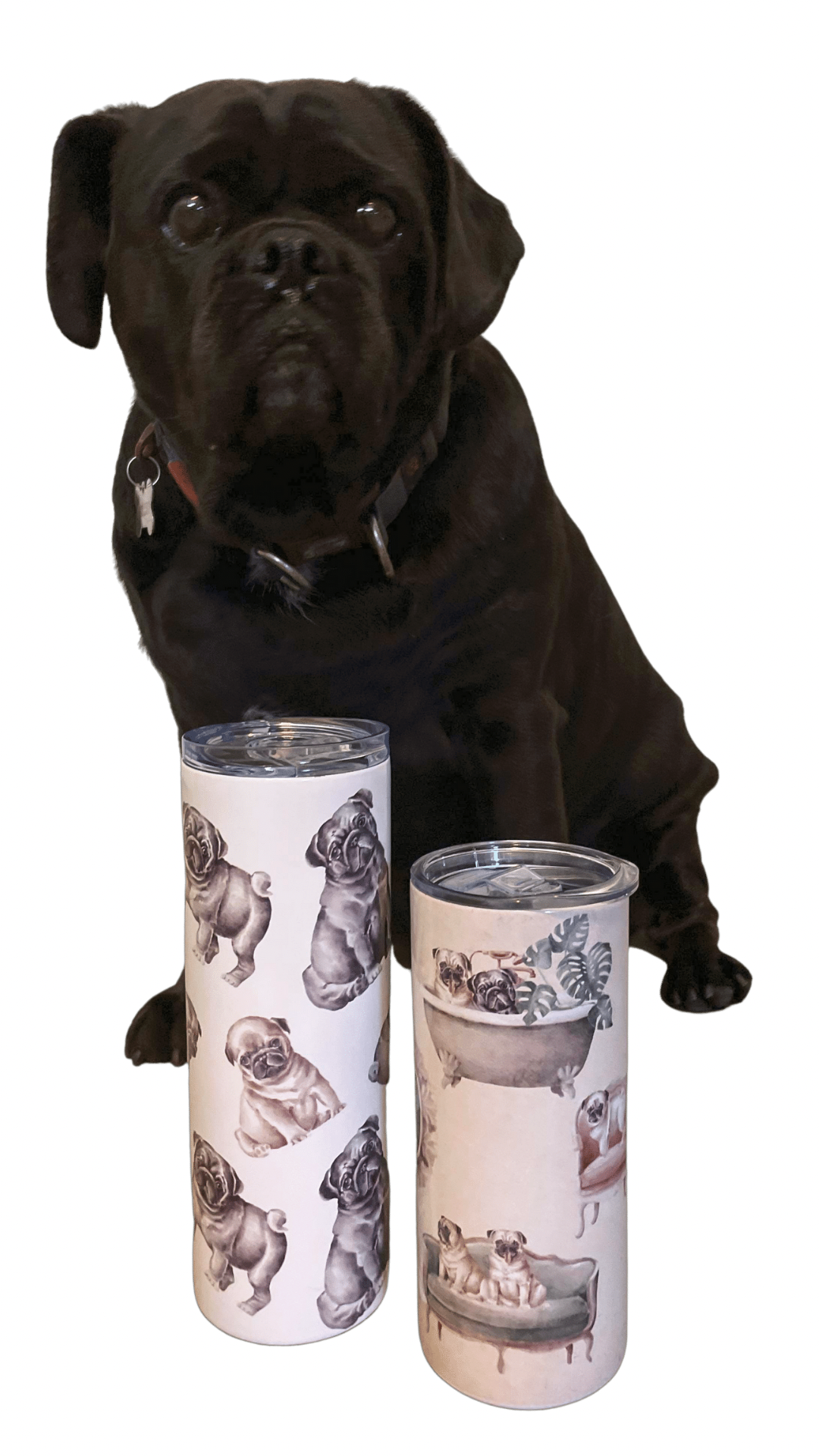 Pug Tumbler