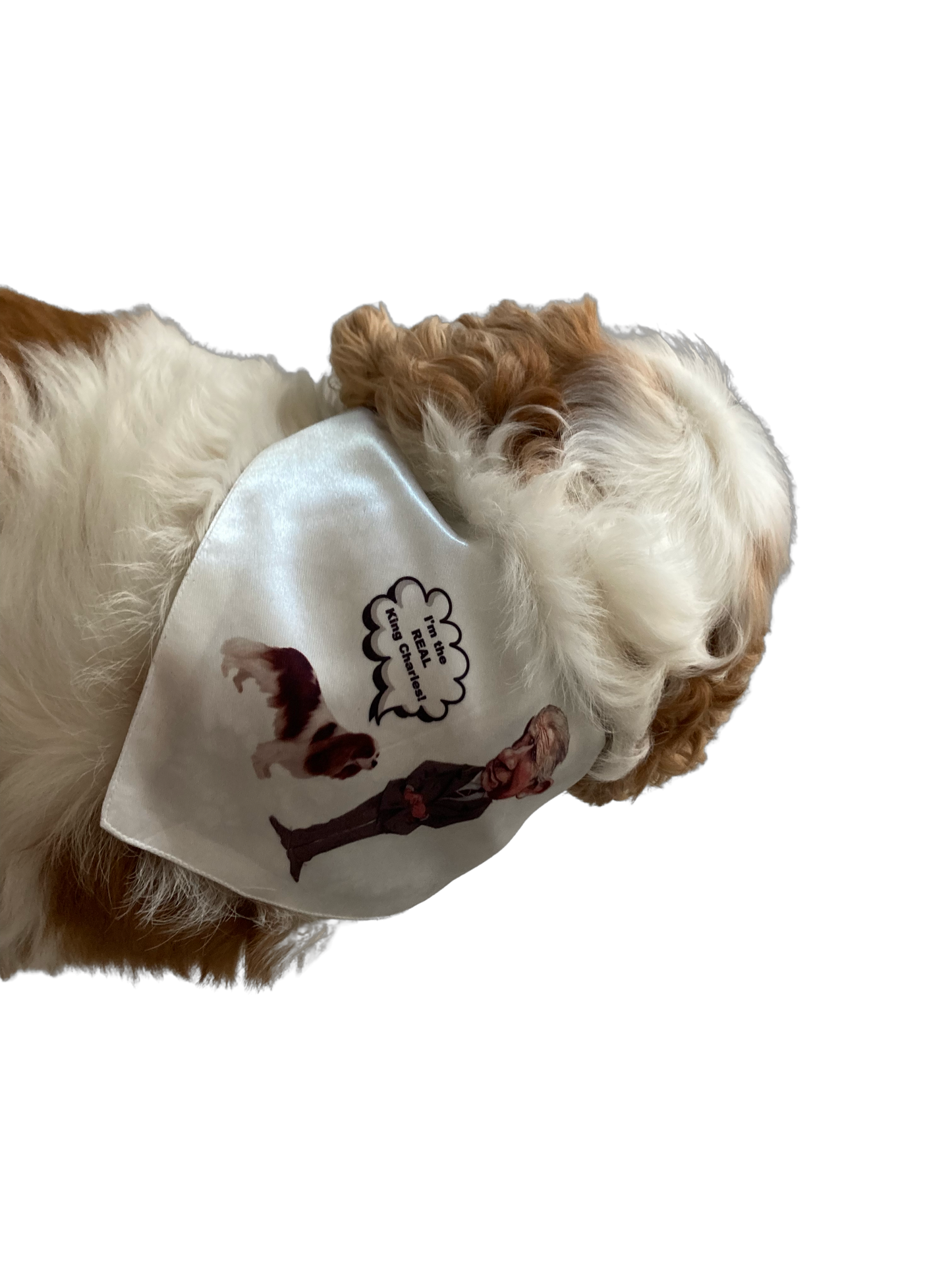 “I’m the real King Charles “ kerchief / bandana