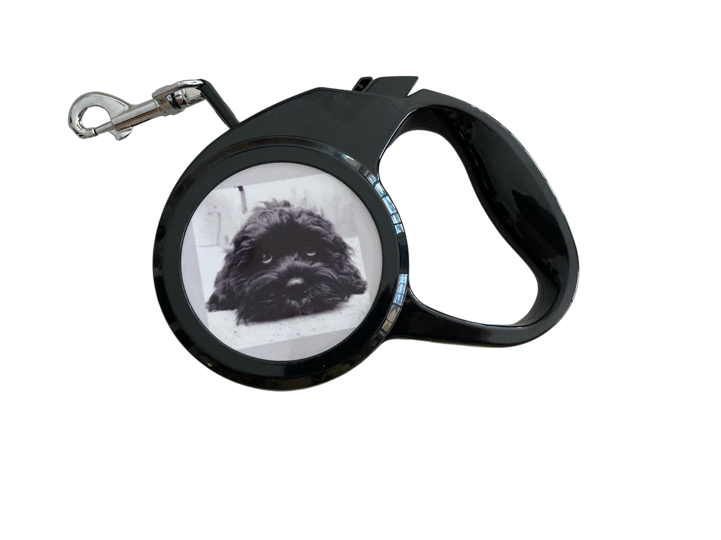 Retractable Dog lead