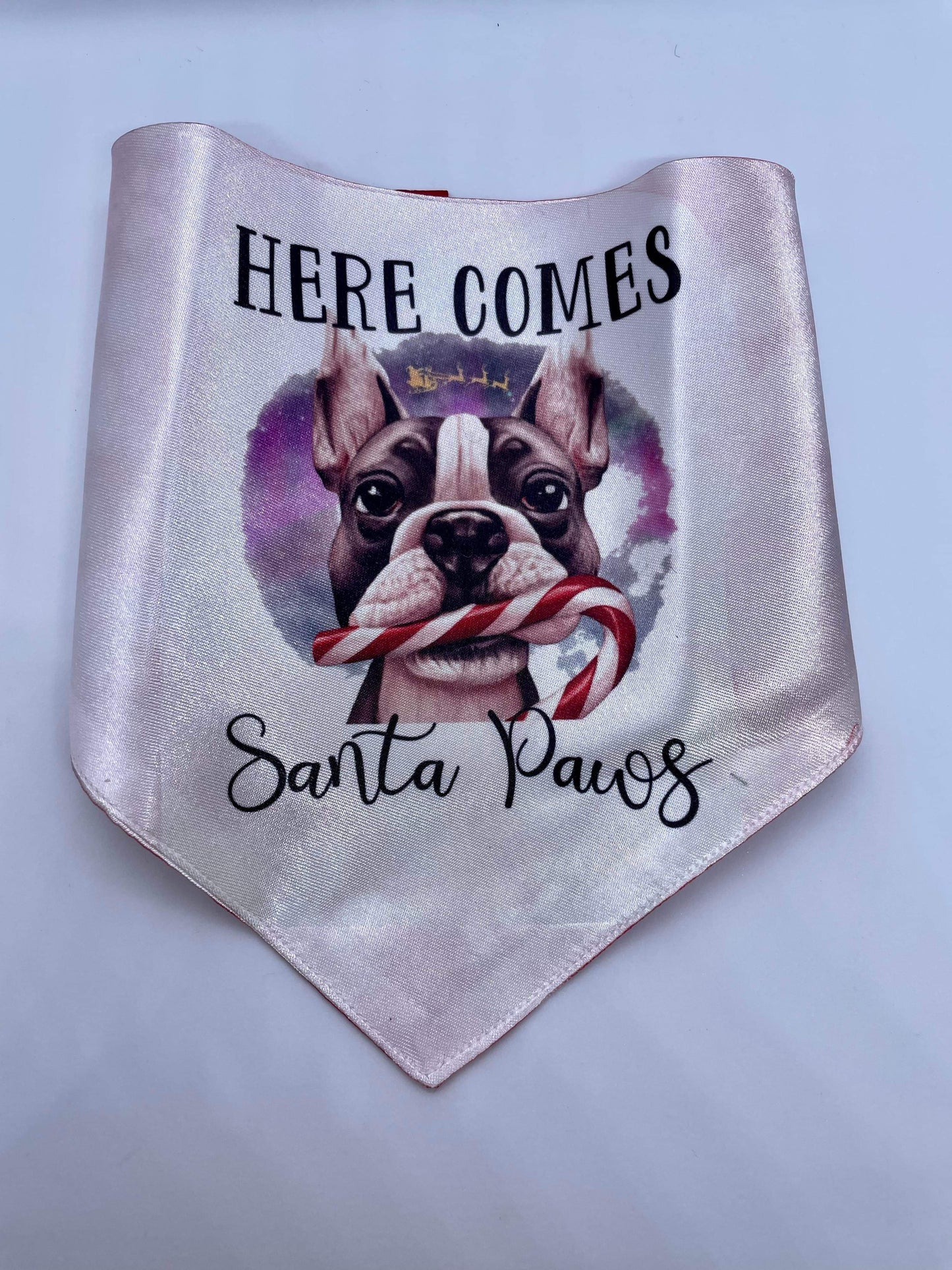 Reversible Doggy bandanas