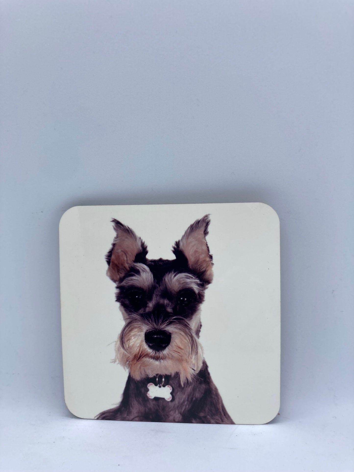 Schnauzer Coasters