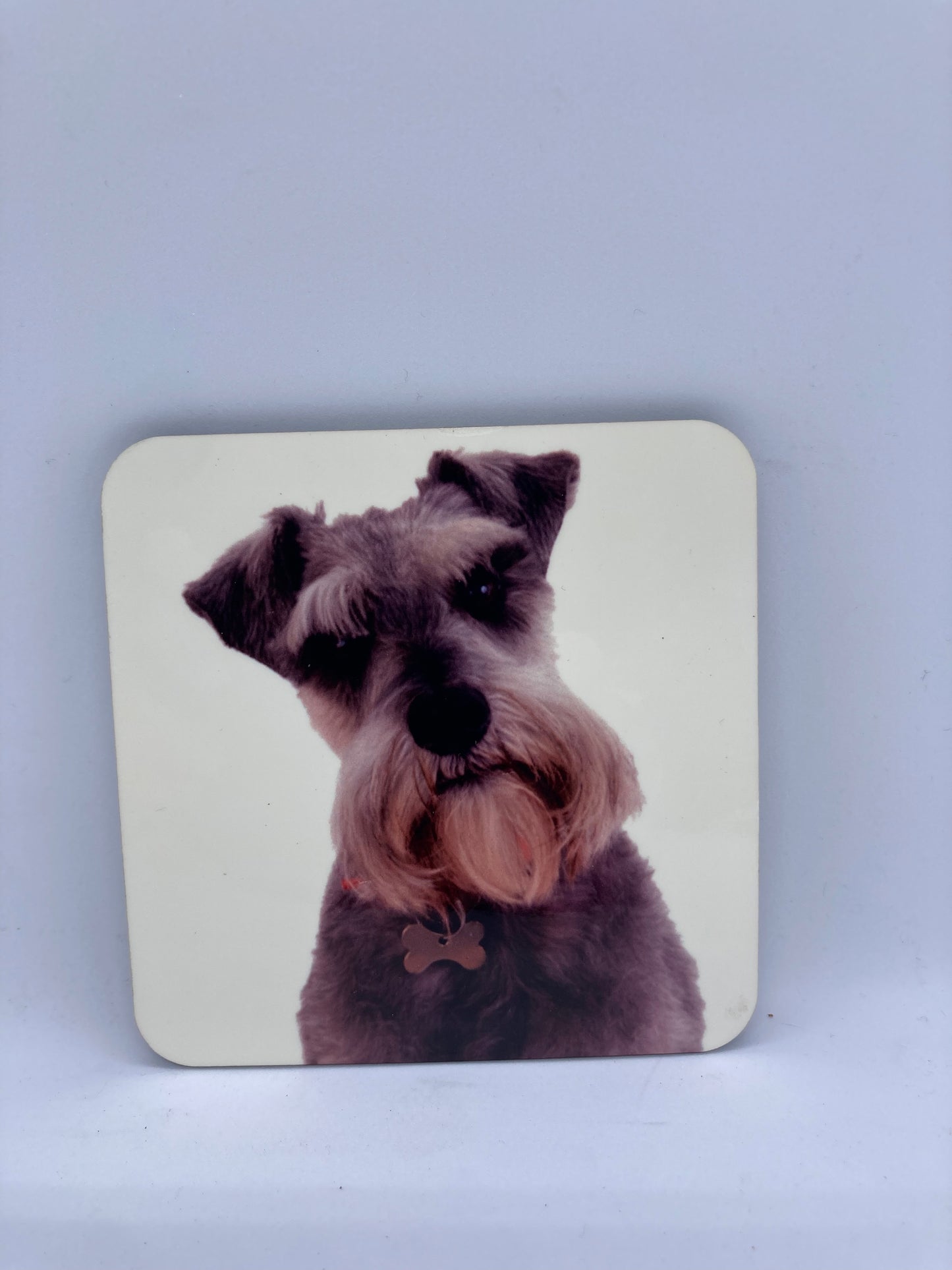 Schnauzer Coasters